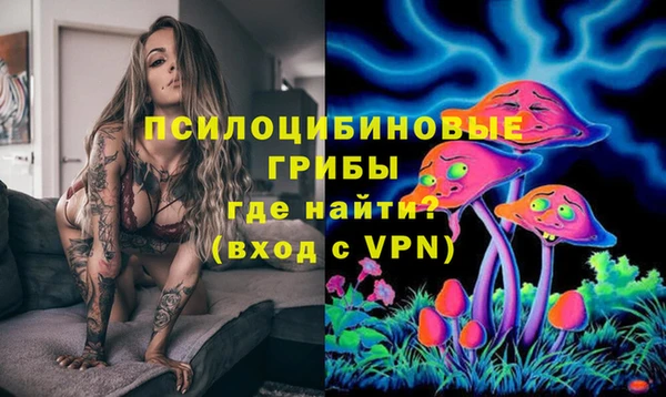 гидропоника Алексеевка